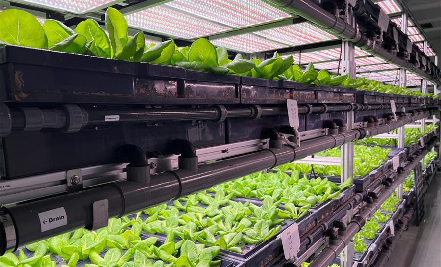 人工氣候室規(guī)劃設(shè)計