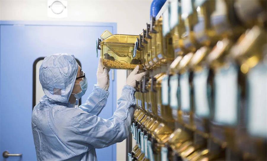 動物房實驗室規(guī)劃設(shè)計